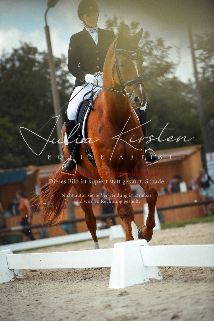 DSC_9124 | Pferde- und Turnierfotografie in Westsachsen. Pferdeportraits, Auftragszeichnungen und intuitive Kunst.