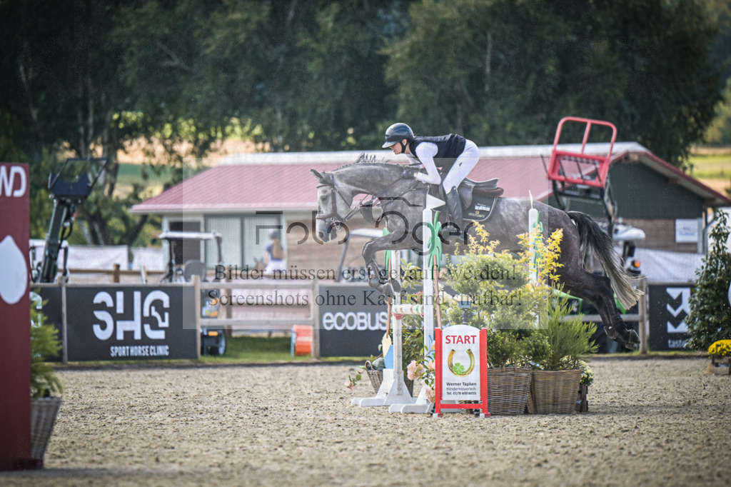 DOS_8037 | Entdecke hochwertige Reitturnierfotos von Foto Oger. Professionell, emotional und authentisch – jetzt Lieblingsmomente im Shop bestellen.Deutschlandweite Turnierfotografie. - Realisiert mit Pictrs.com