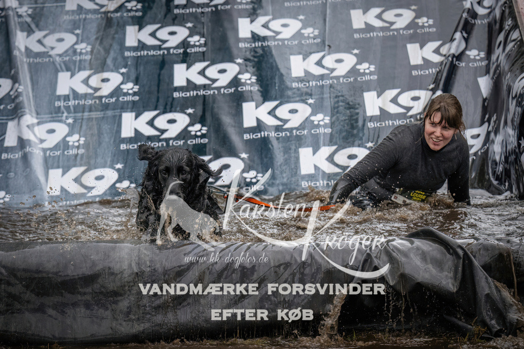 1203_ZZ94211 | kk-dogfotos