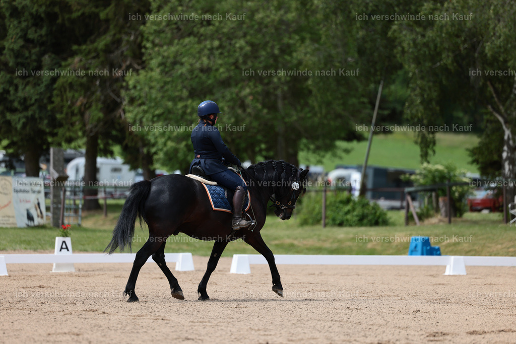 KlasseA_Stoibphotography_C2_L5342.JPG | working equitationturnier fotograf videograf stoibphotography marixx film working equitation deutschland reitsport turnierfotografie eventfotografie equestrian events