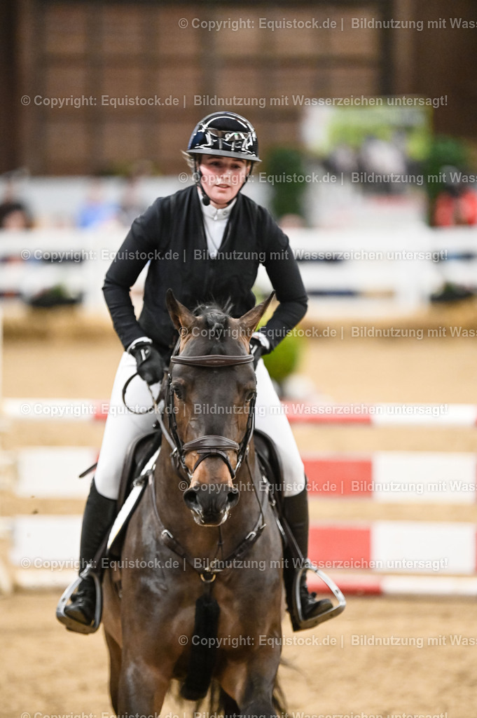 20260307_Hengstvorstellung-Marbach_0131 | equistock