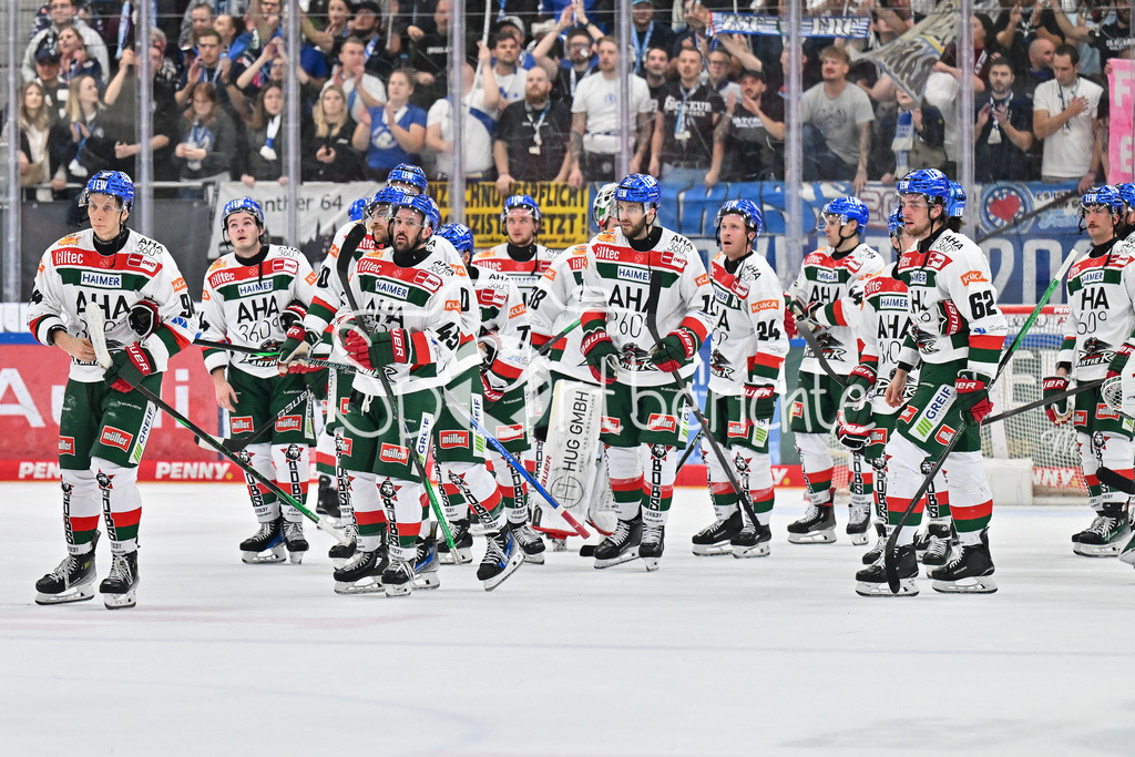 ERC Ingolstadt - Augsburger Panther | Niedergeschlagene Augsburger nach der Niederlage in Ingolstadt / Traurig / DEL: ERC Ingolstadt - Augsburger Panther, Saturn Arena am 03.11.2024
