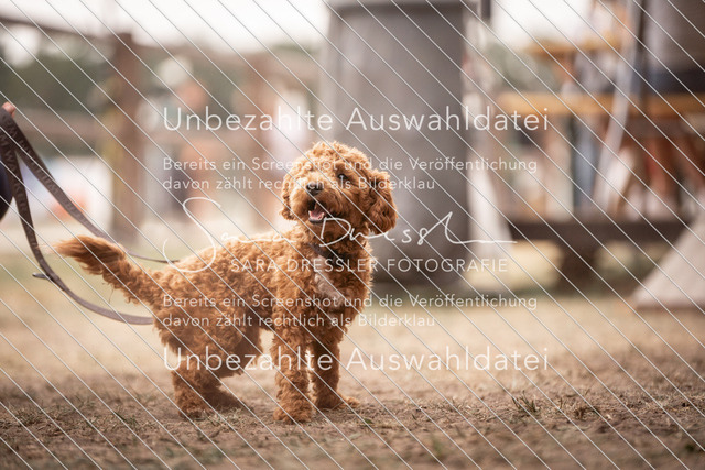 LR262_SD_01642 | saradresslerfotografie - Realisiert mit Pictrs.com