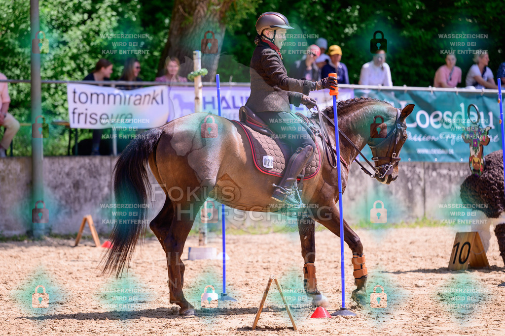 03052026-Giesenbach-05-Stiltrail-0419 | Fokus Hufschlag Fotografie - Realisiert mit Pictrs.com
