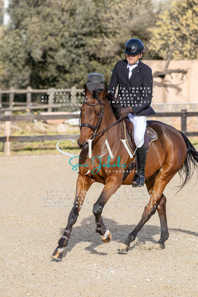 IMG_0310 | s-jay-photography - Realisiert mit Pictrs.com