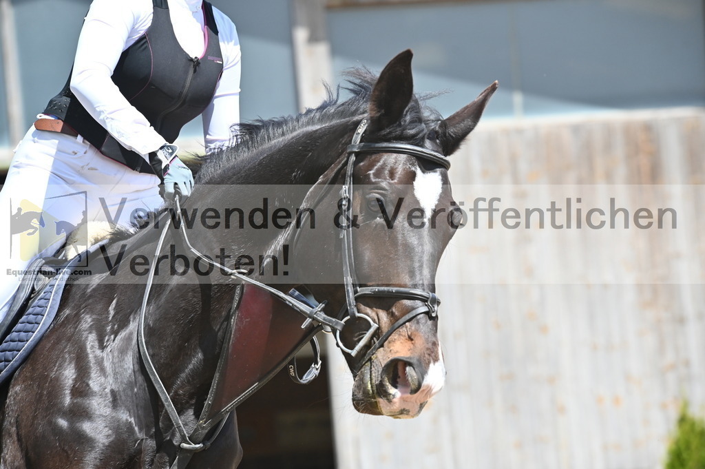 DSC_8599 | equestrian-live-com