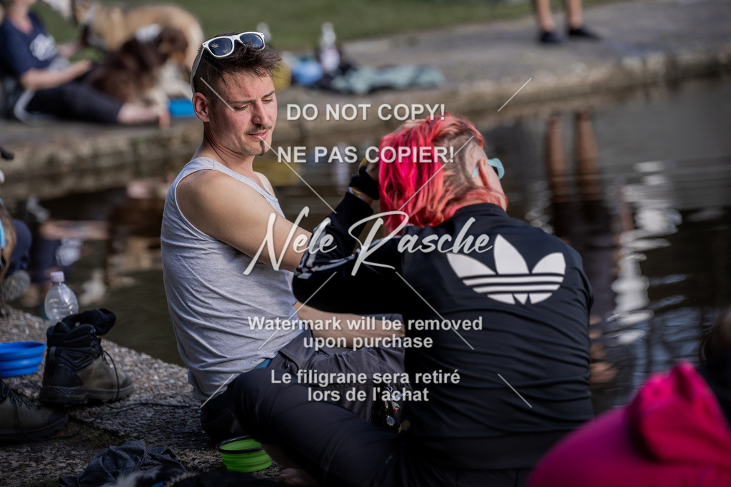 NR__1293 | nelerasche