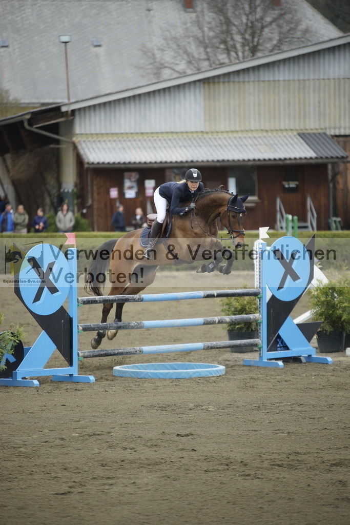 _DSC7177 | equestrian-live-com