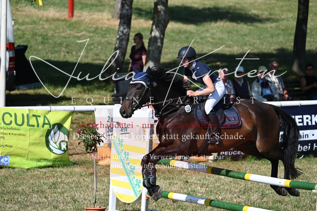 DSC_1850 | Pferde- und Turnierfotografie in Westsachsen. Pferdeportraits, Auftragszeichnungen und intuitive Kunst.