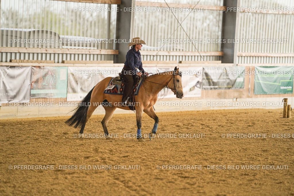 DSC09574 | Pferdegrafie