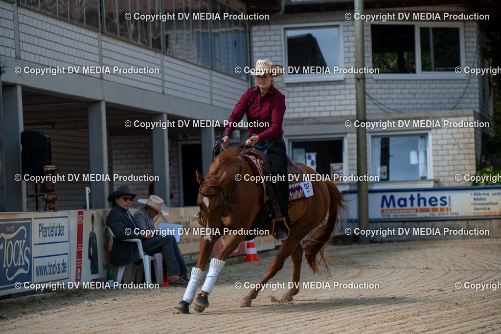 ZS3_9553 | dv-media-shop - Realisiert mit Pictrs.com