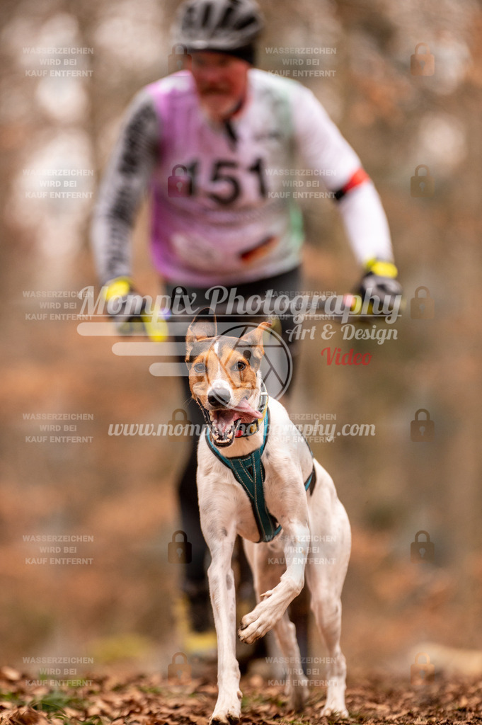 AKM_ST_2023_SAM_Scooter-16 | PayLife