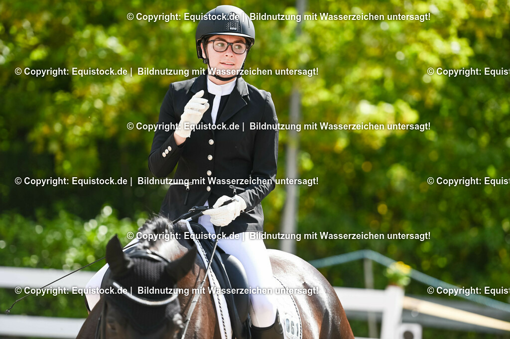 20230715_07_Dressurpferdeprfg. Kl.L_0193 | equistock