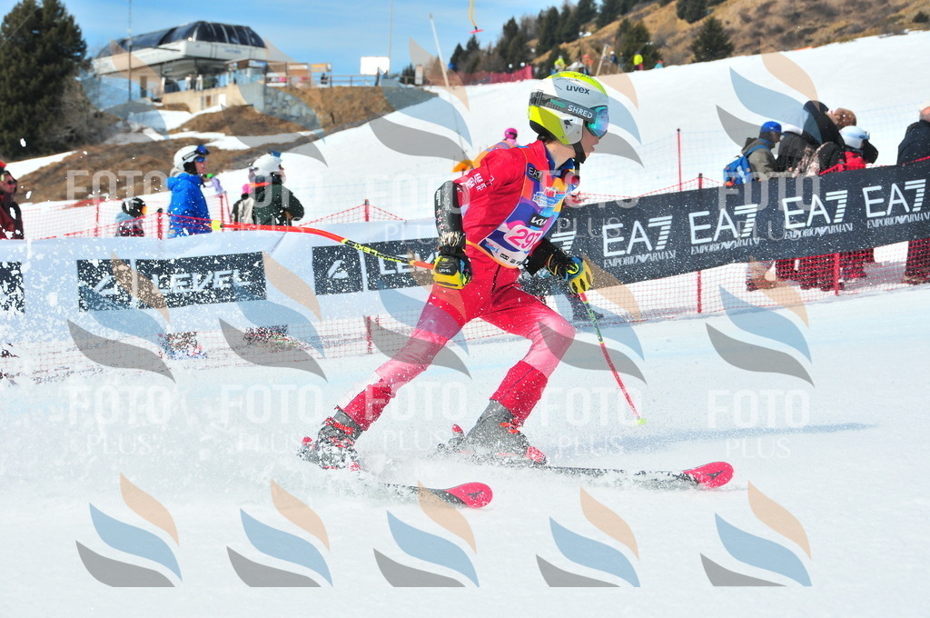 DSC_6523 | holidayphoto