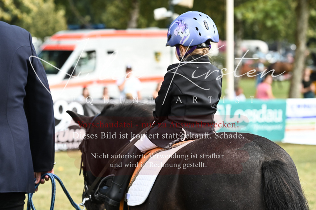 DSC_6890 | Pferde- und Turnierfotografie in Westsachsen. Pferdeportraits, Auftragszeichnungen und intuitive Kunst.