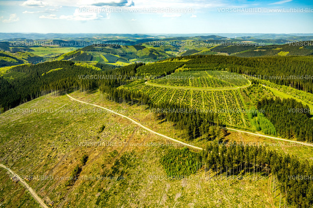 Meschede240505761 | Luftbild, Waldschonung und waldige Hügellandschaft Rarbach mit Fernsicht, Oberrarbach, Schmallenberg, Sauerland, Nordrhein-Westfalen, Deutschland
