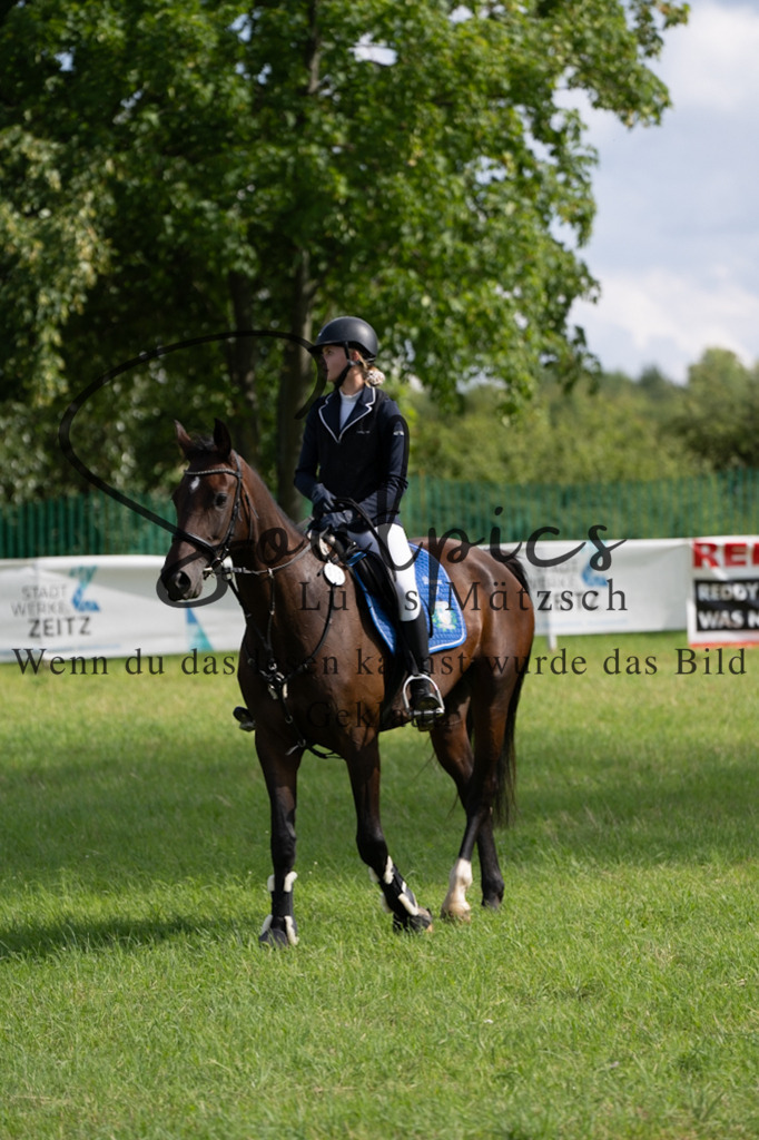 A7V03427 | Pferdefotograf