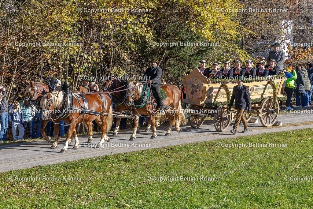 LBT25-426 | foto-bettina-krinner - Realisiert mit Pictrs.com