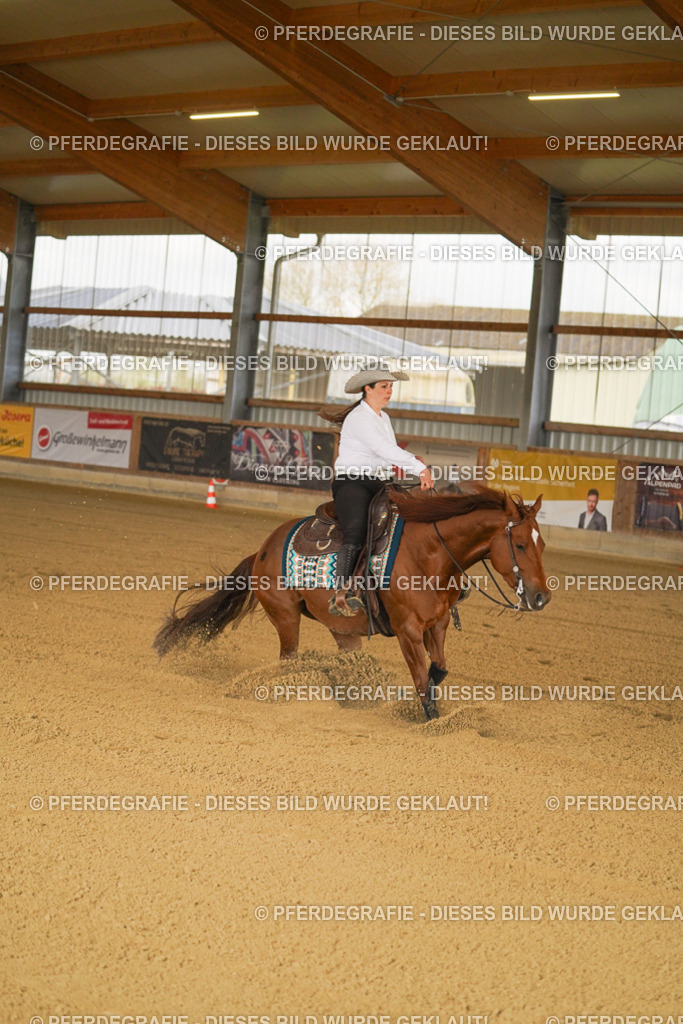 DSC00383 | Pferdegrafie