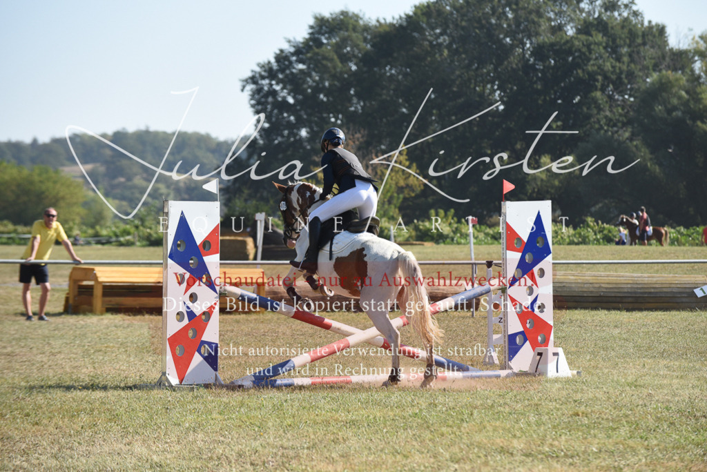 DSC_6038 | Pferde- und Turnierfotografie in Westsachsen. Pferdeportraits, Auftragszeichnungen und intuitive Kunst.