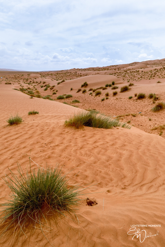 Beduinencamp bei Al Salam Desert Camp, Al Qabil, Bidiyya, Oman | Herzlich willkommen auf meiner Seite! Ich bin Elke Wallnisch, Deine Fotografin für lichtstarke Momente. Der Name steht für alles, was mich mit der Fotografie verbindet: Das Licht und seine machtvolle Wirkung auf eine Situation oder unsere Stimmung - Realisiert mit Pictrs.com