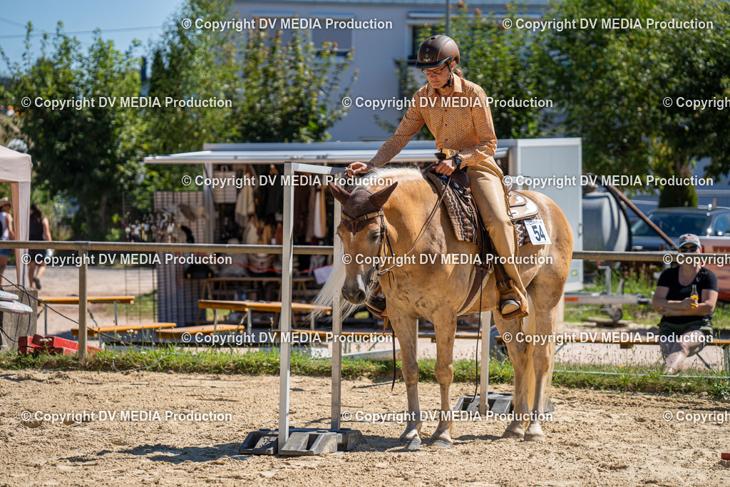 LM Heiligenwald Tag 1-797 | dv-media-shop - Realisiert mit Pictrs.com