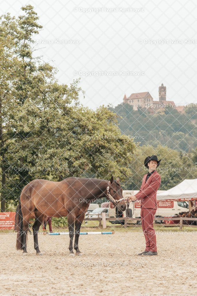 DSC03121 | ikphotography - Realisiert mit Pictrs.com