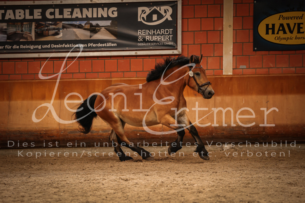 SaFL00291 | Leoni Ertmer Photography - Realisiert mit Pictrs.com