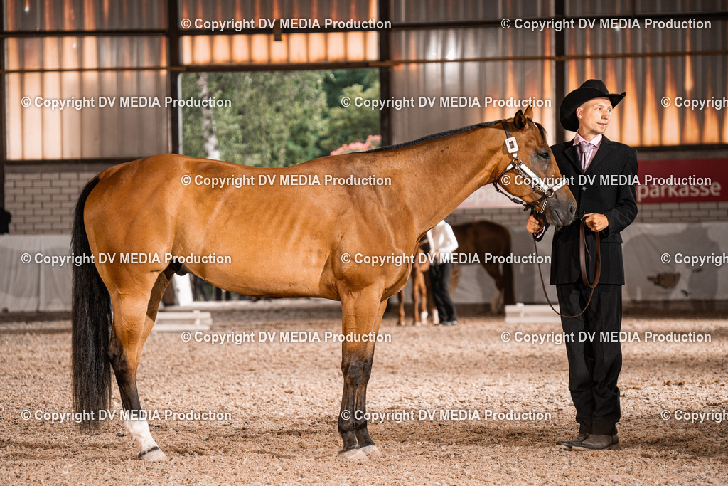 ZH200117 | dv-media-shop - Realisiert mit Pictrs.com