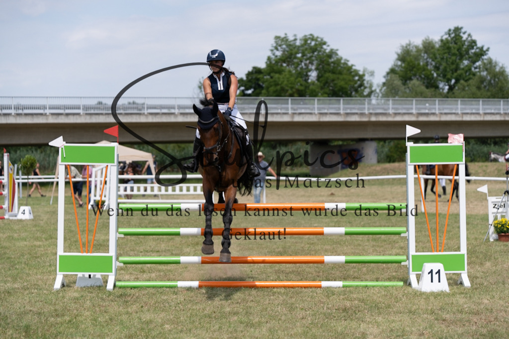 A7V01915 | Pferdefotograf