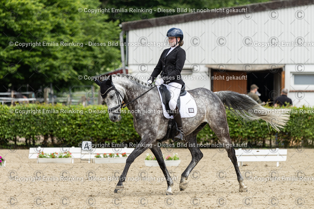 CL5A2337 | Emilia Reinking Fotografie - Realisiert mit Pictrs.com