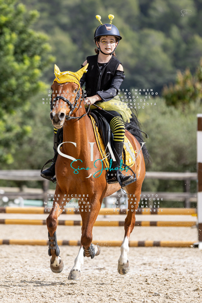 IMG_2183 | s-jay-photography - Realisiert mit Pictrs.com