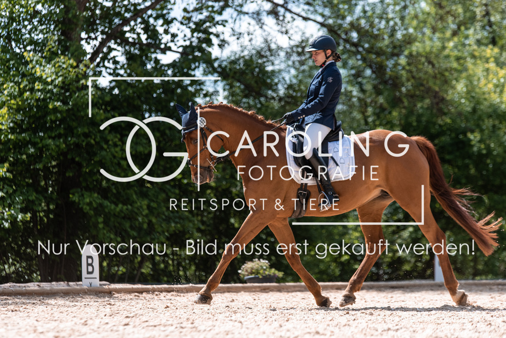 DSC_9741 | Turnierfotografin Carolin Gieschke, Turnierfotografie Carolin G Fotografie, Turnierfotos Kirchheim/Teck, Esslingen, Stuttgart, Bodenseekreis
