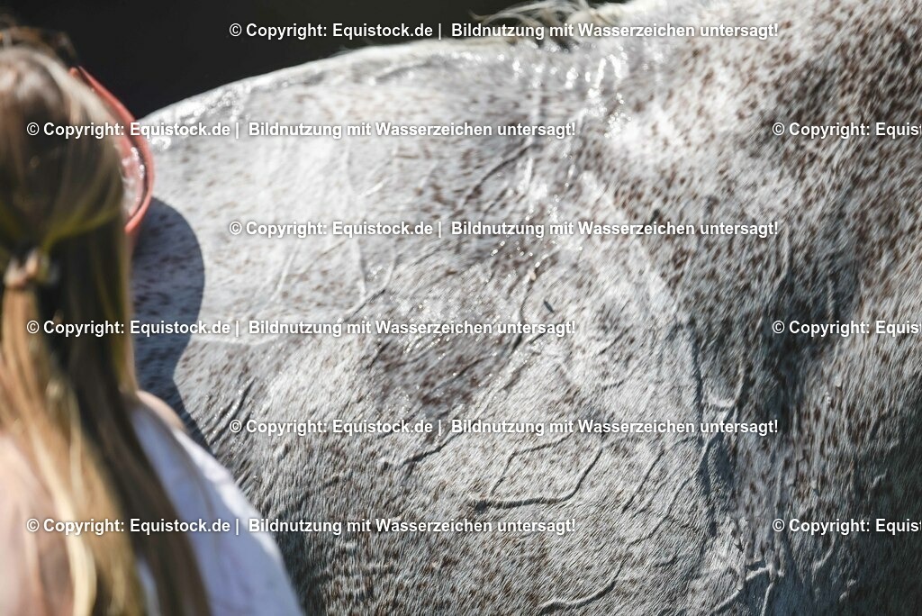 20230527_27_CCI4_Gelände_0248 | equistock