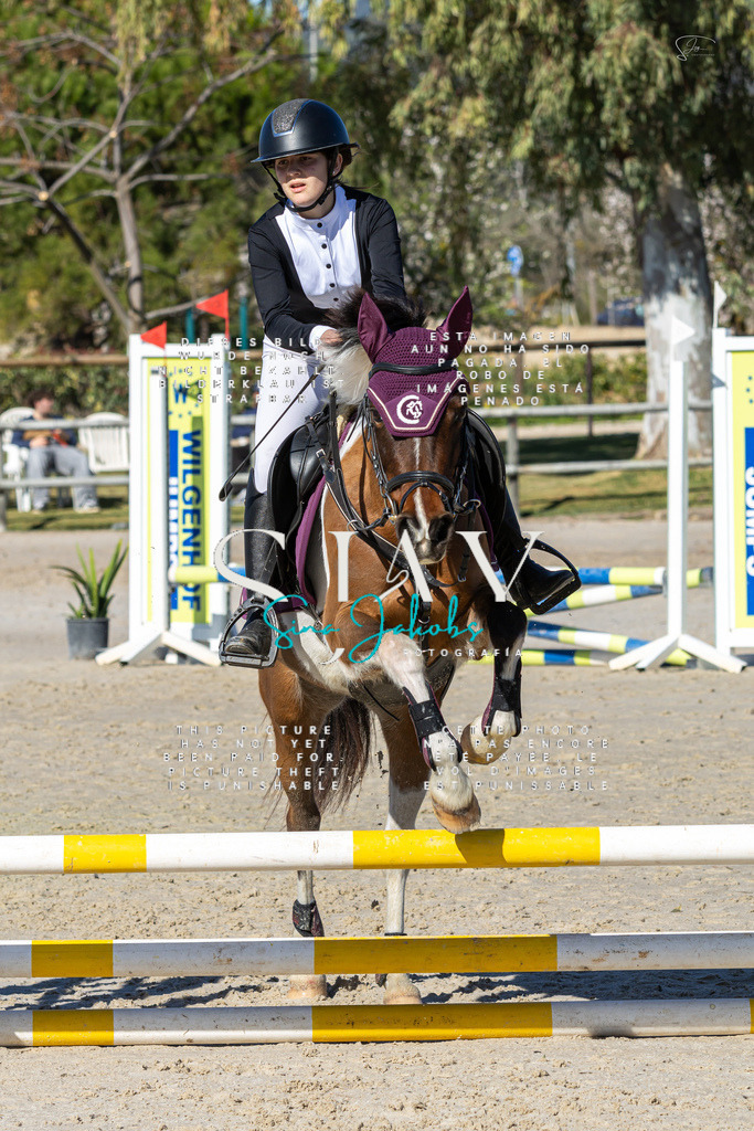 IMG_8508 | s-jay-photography - Realisiert mit Pictrs.com