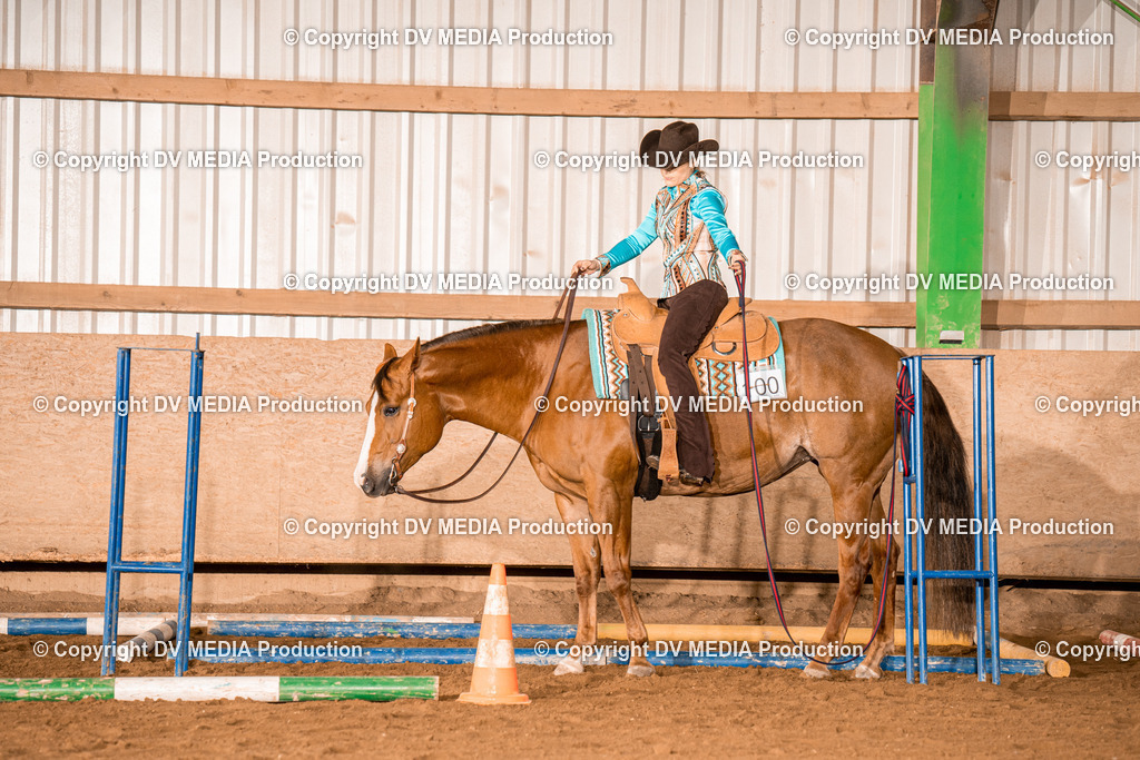 BA400088 | dv-media-shop - Realisiert mit Pictrs.com