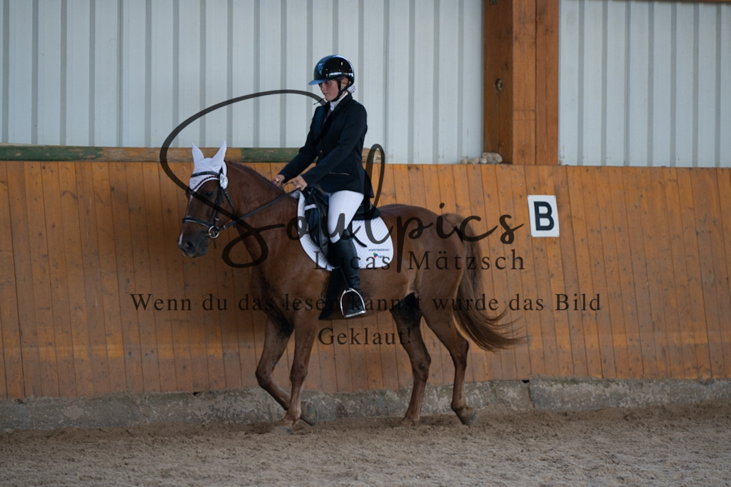 A7V02138 | Pferdefotograf