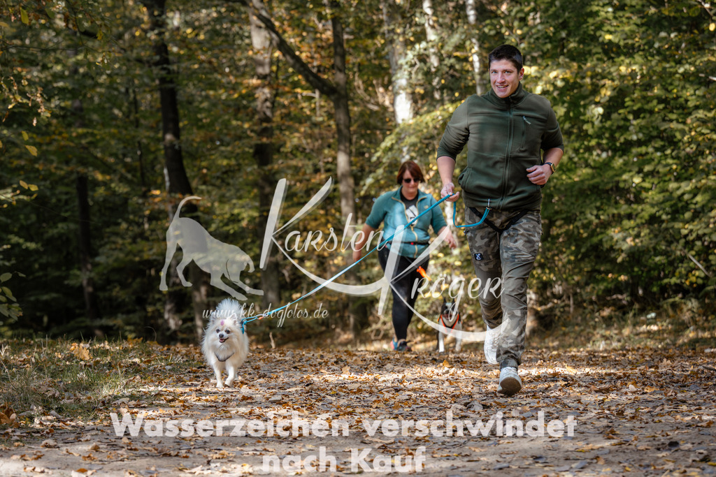 1247_ZZ96168 | kk-dogfotos