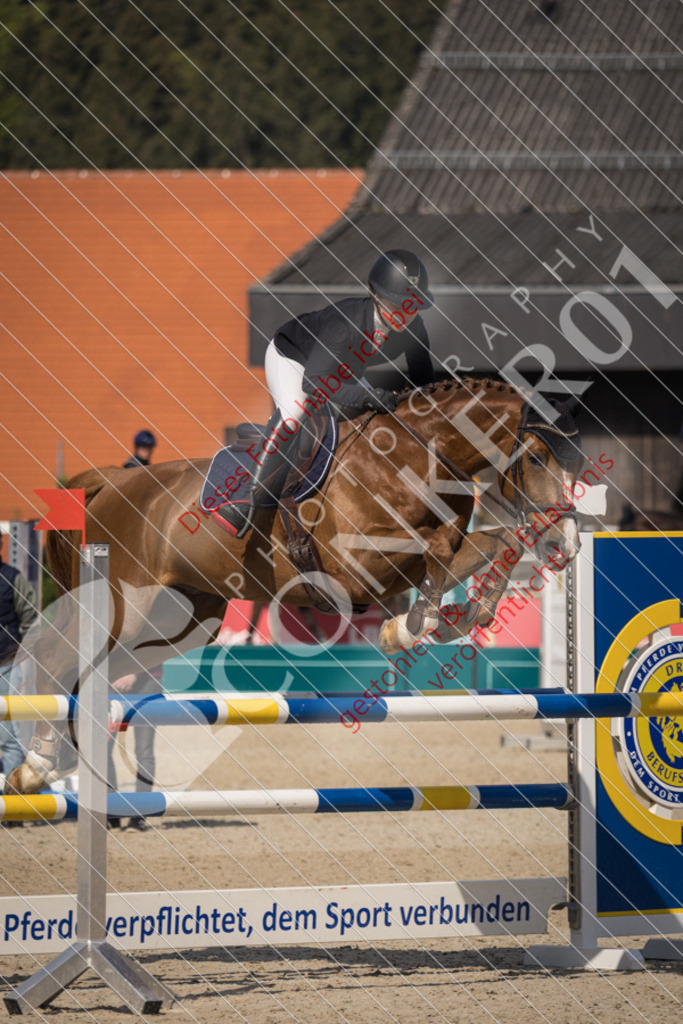 IMG_9898 | Hier findest Du viele Augenblicke aus den Bereichen der Turnier-, Sport- & Tierfotografie. Bilder mit deinem Liebling, Portrait-, Bewerbungs-, Businessbilder können ebenfalls schnell und einfach erstellt werden.