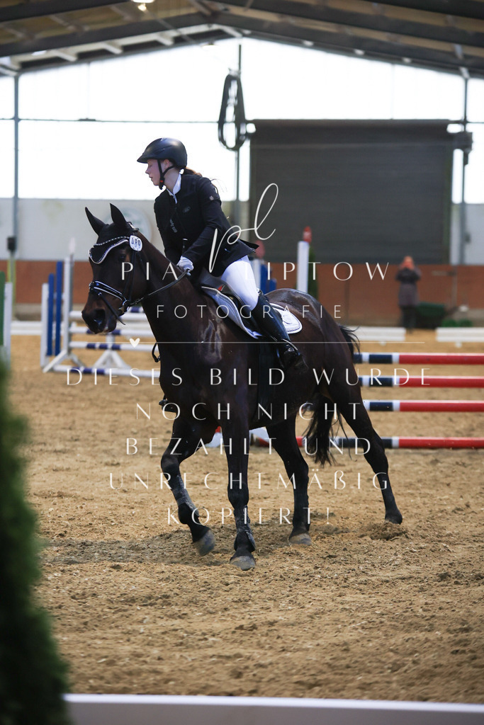 IMGT1727 - Kopie | pl-fotografie