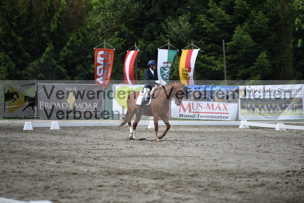 DSC_9314 | equestrian-live-com