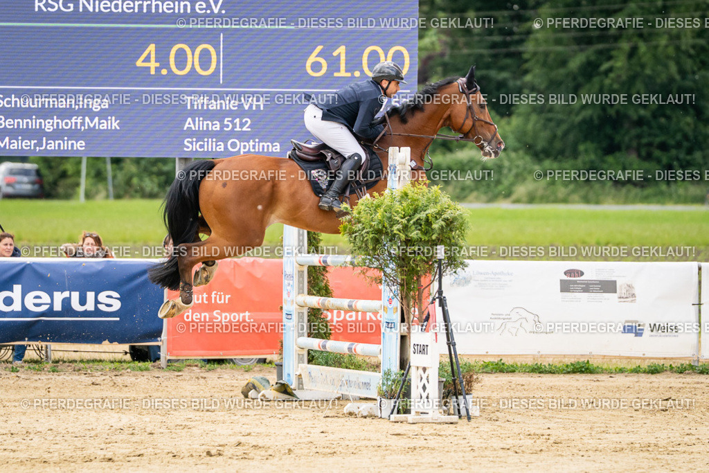 DSC06058 | Pferdegrafie