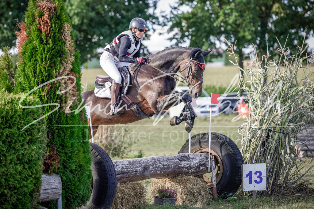 20250906-_3LI7526 | Tierfotografie Pferde, Hunde, Katzen, Haustiere.
Turnierfotografie Reitturniere, Reiten, Springreiten, Dressur in Hanau, dem Main-Kinzig-Kreis und dem Rhein-Main- Gebiet um Frankfurt