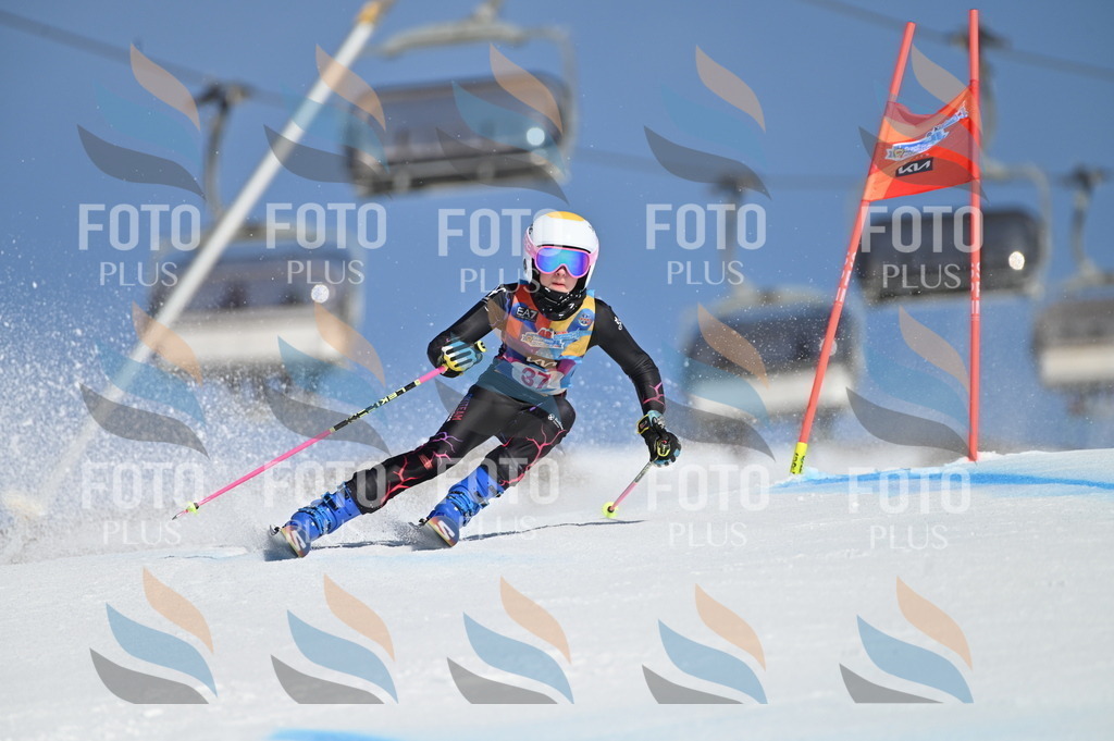 BGV_8280 | holidayphoto