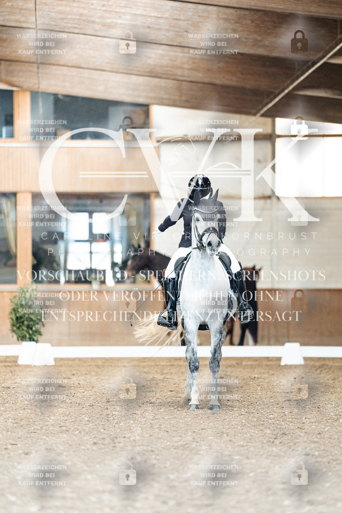 CK900921 | Turnierfotografie Pferdefotografie Trier Rheinland-Pfalz Pferdesport Reitsport Tierfotografie Sportfotografie Pferdevideo Pferdevideografie Equestrianvideography equestrianphotography  - Realisiert mit Pictrs.com