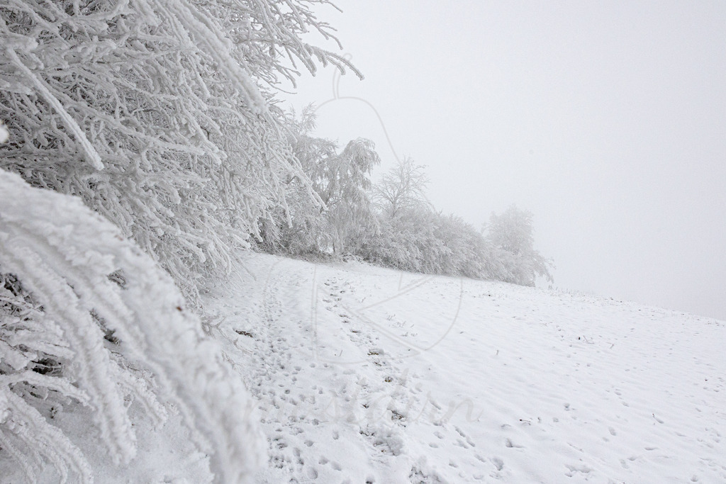 Frostiger Mostweg | Ihre Fotografin im Lungau, ihre Fotografin im Mostviertel, Wandbilder Onlineshop, Imagefotos für Ihr Unternehmen,  - Realisiert mit Pictrs.com