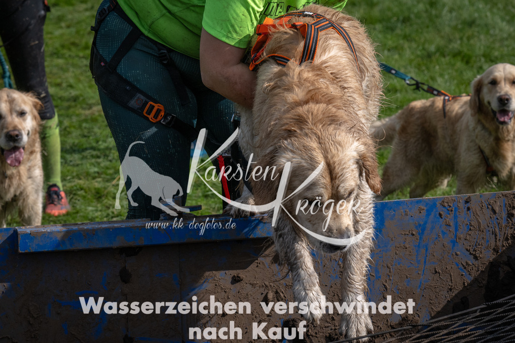 1401_ZZ90464 | kk-dogfotos
