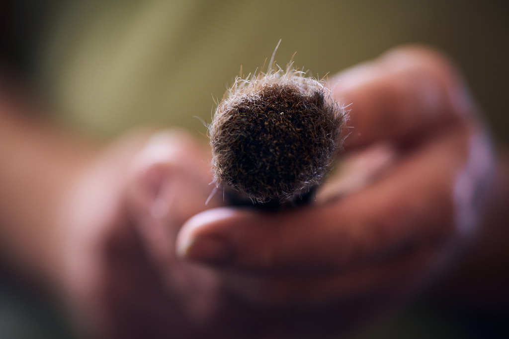 Bürsten und Pinselmacher | Wien, Austria - August 04, 2022; Bürsten und Pinselmacher Norbert Meier - Realisiert mit Pictrs.com