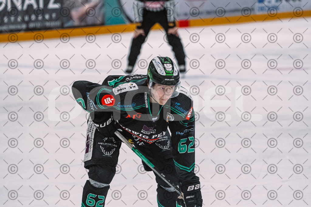 Alligators_vs_Heilbronn_08_02_2026-29 | Höchstadt Alligators Fotogalerie: Eishockey-Action aus Franken. Professionelle Spielfotos, Portraits & Stadionbilder zum Download. Jetzt entdecken! - Realisiert mit Pictrs.com