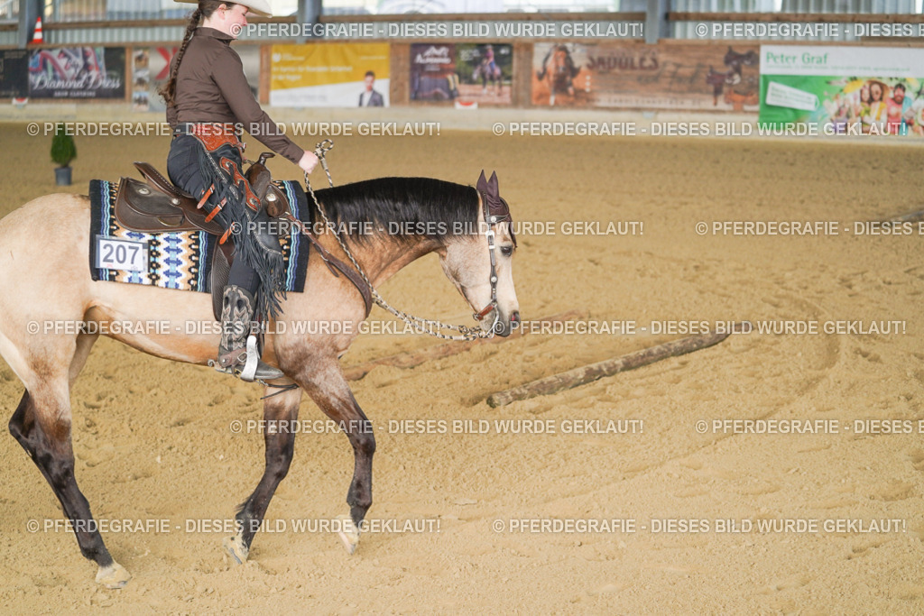 DSC01794 | Pferdegrafie